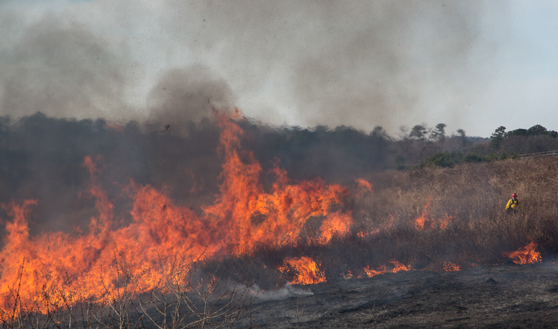 A controlled burn at Prairie Ridge Ecostation.