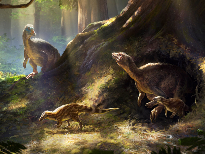 A family of thescelosaurs emerges from safety to forage in the forests of the Hell Creek Formation, 66 million years ago.