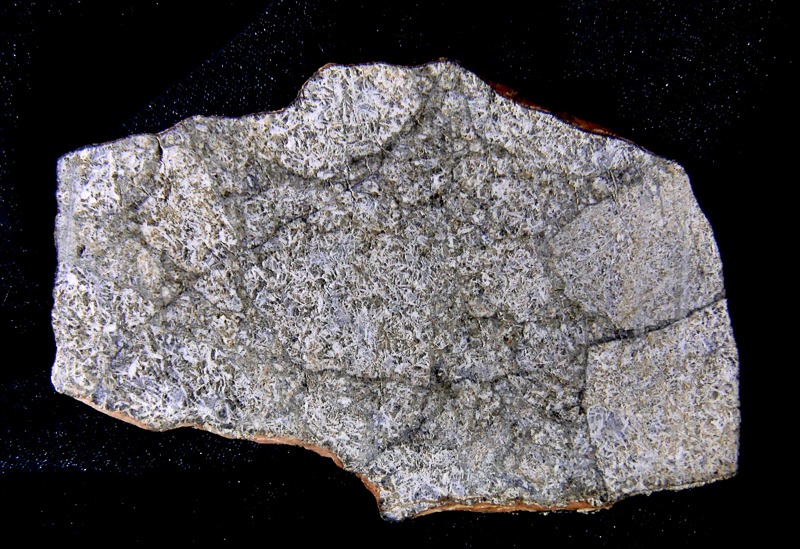 Eucrite NWA 5229, one of a few meteorites thought to originate from the asteroid Vesta. This specimen shows large inclusions called clasts that are from the crust of the parent asteroid. This specimen is not currently on display.