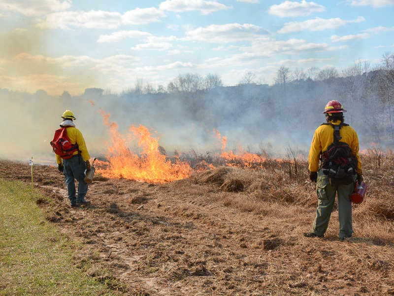 Prairie Ridge fields burn under the supervision of the North Carolina Forest Service and Raleigh Fire Department.