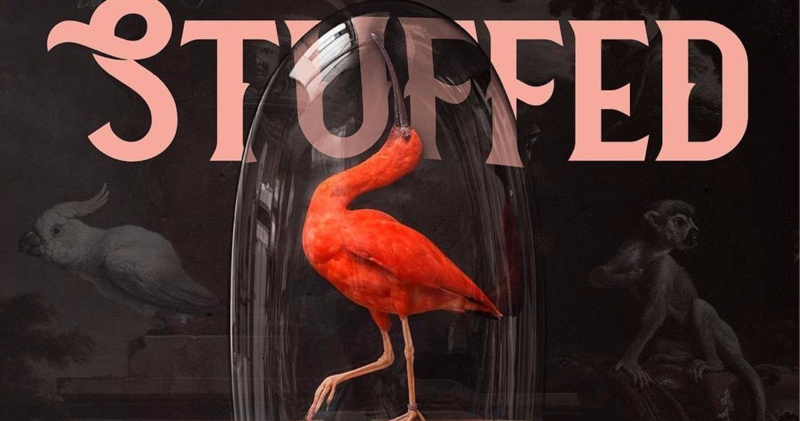 Movie banner for Stuffed. A bright red bird under a glass dome in front is haunted by dark drawings of a cockatoo and a monkey in the background.