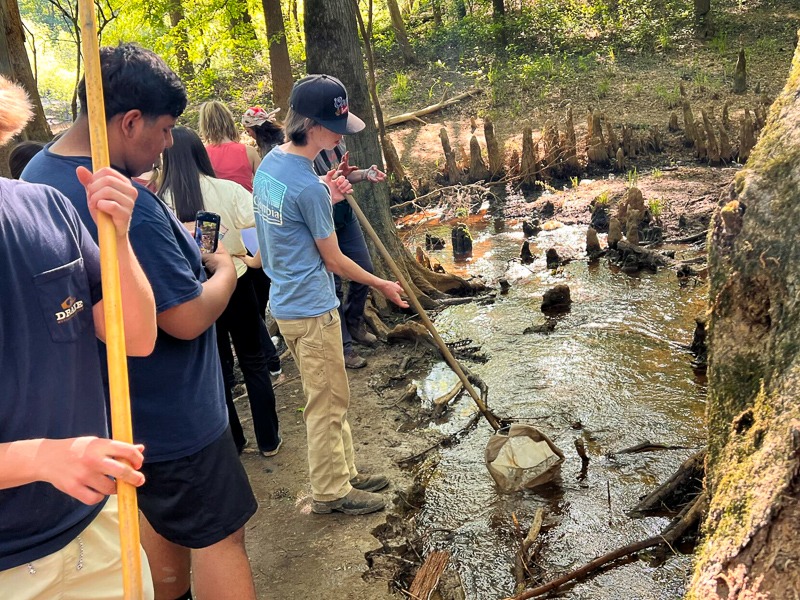 Duplin High School students release shad fry into the Neuse River.