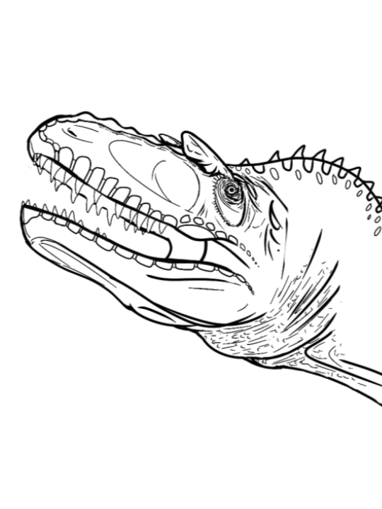 Coloring page for Albertosaurus sarcophagus