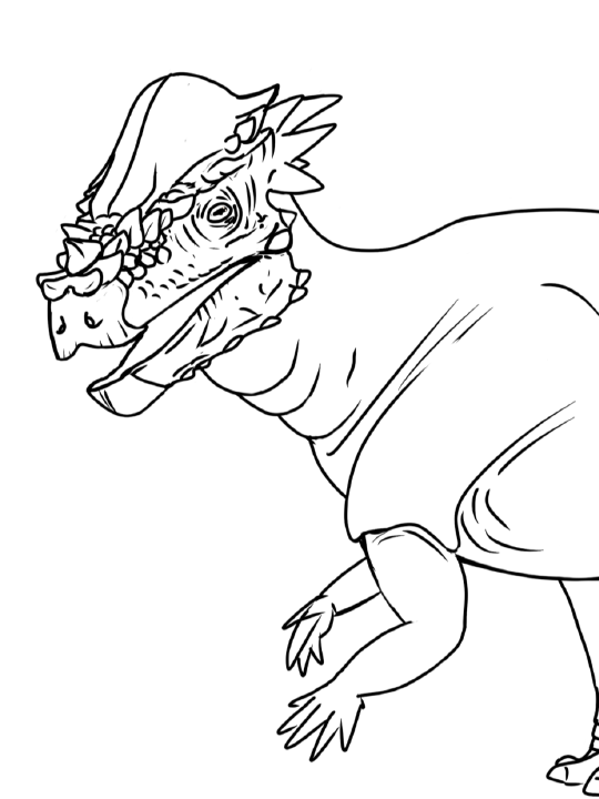 Coloring Page for Pachycephalosaurus wyomingensis