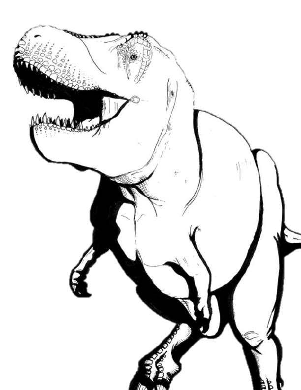 Coloring page for Tyrannosaurus rex.