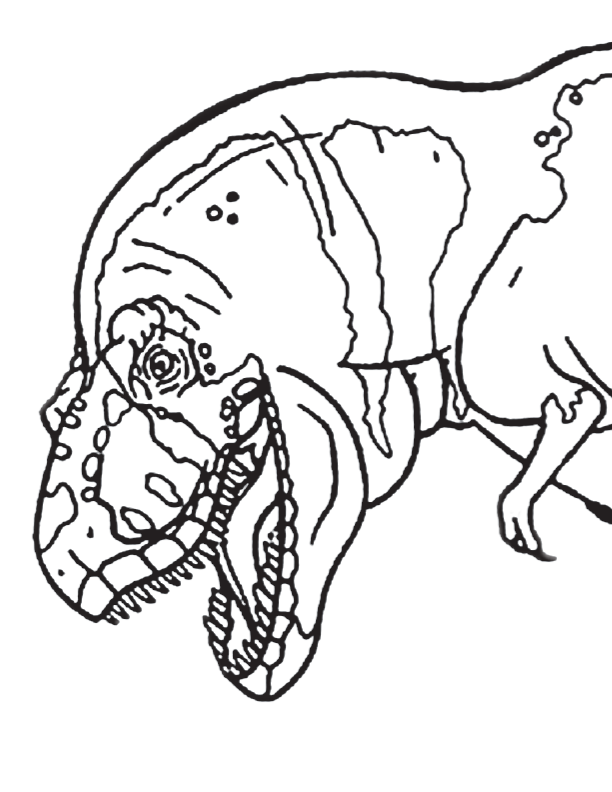 Coloring page for Tyrannosaurus rex