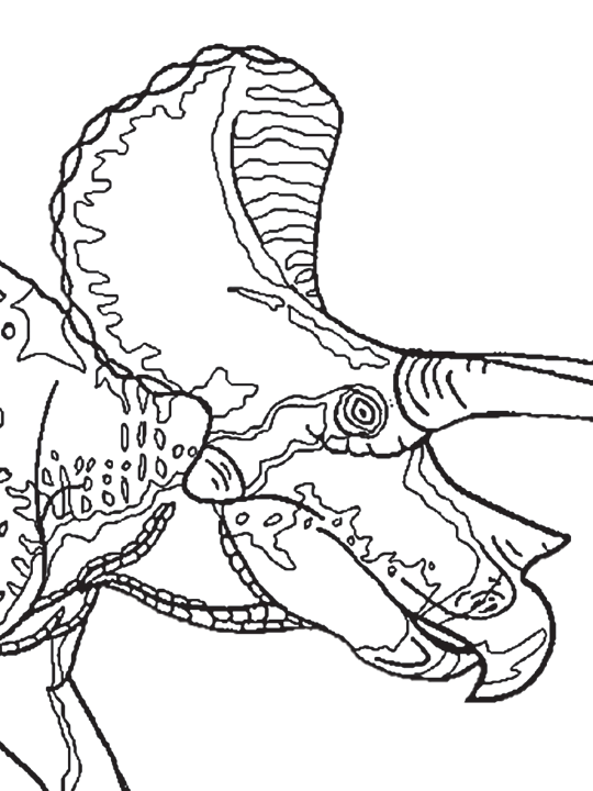 Coloring Page for Triceratops horridus