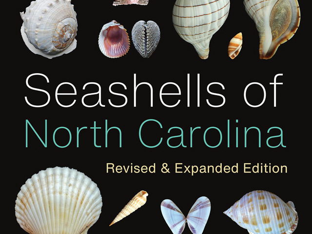Seashells of North Carolina: Revised and Expanded Edition cover art. Assortment of seashells on black background.