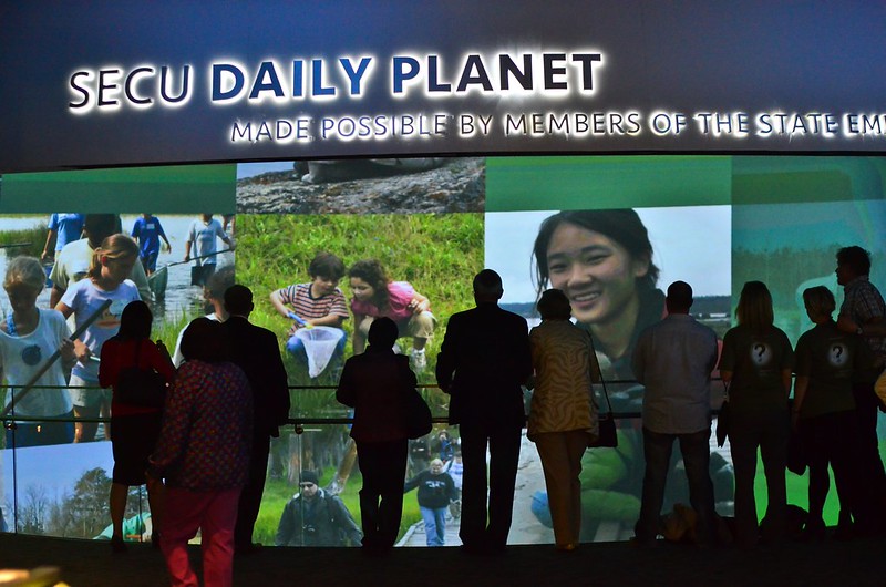group of people looking at a giant screen with projected images of people in nature