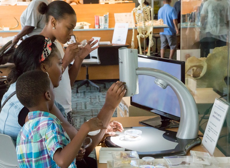 A Black family explores the microscope in the Naturalist Center.