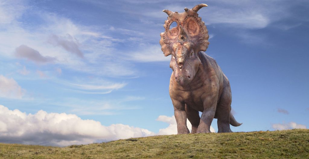 A young Triceratops stands on a hill against a blue sky with white clouds.