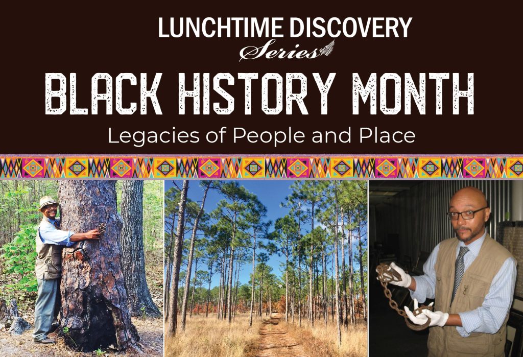 a graphic with text reading "Lunchtime Discovery Series Black History Month: Legacies of People and Places," with three photos. One is a picture of earl Ijames hugging a pine tree, one is a landscape image of longleaf pine forest, and the last is a picture of Earl Ijames holding shackles