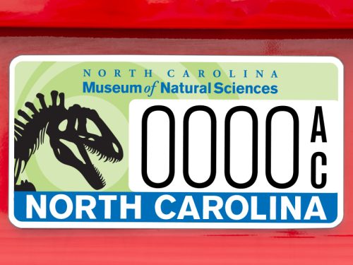 Roar down the road with a new dinosaur license plate