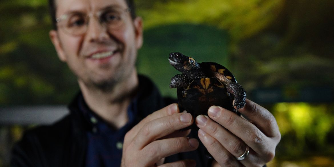 Living Collections staff with a turtle.