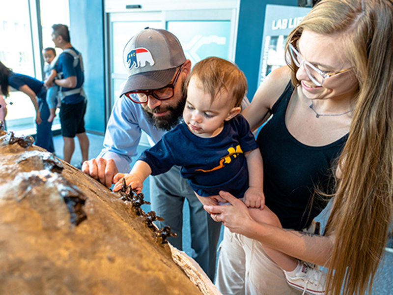 Mom, dad and young child check out a model fossil jacket.