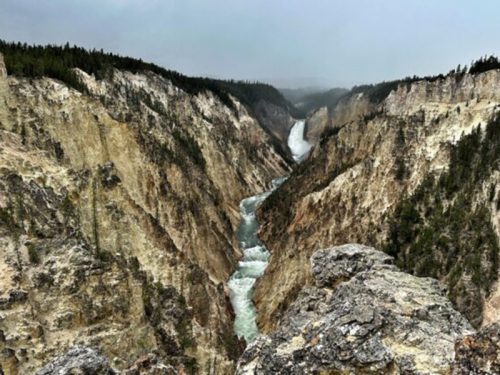 Dozen NC teachers set to explore Yellowstone with Museum of Natural Sciences