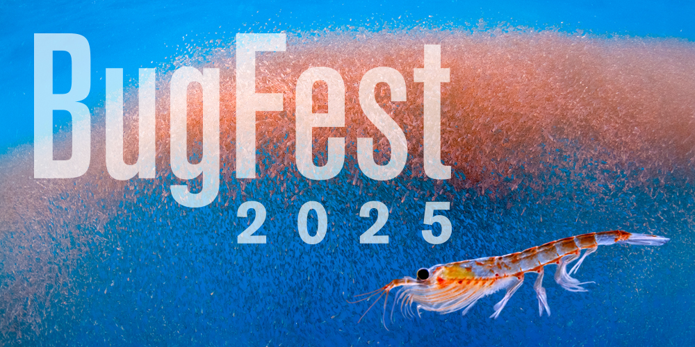promotional hero for BugFest 2025 that features a cloud of krill in the ocean and a close up of a single krill