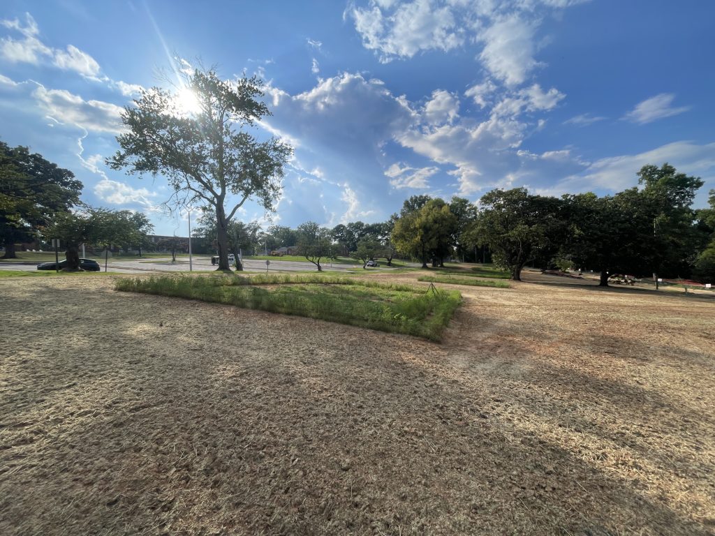 Sunny day at a mostly bare park with a square planting area in the foreground, a parking lot in the distance, and a clear blue sky overhead.