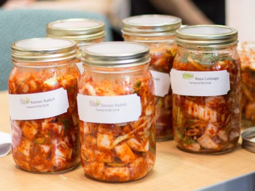 Kimchi’s role in collaborative science