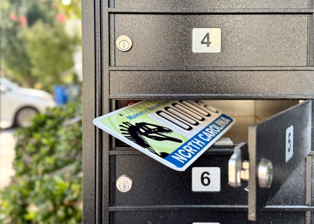 image of dinosaur themed license plate protruding from an open mailbox