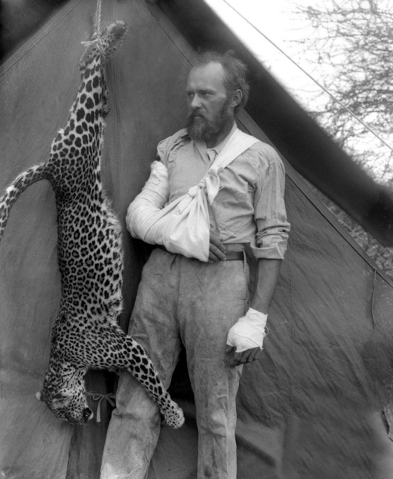 A black and white photo of a 19th century naturalist poses alongside a captured hanging leopard.
