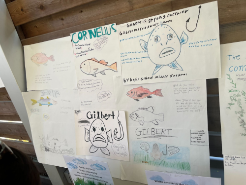 Photo of children's drawings of fish pinned to a wall