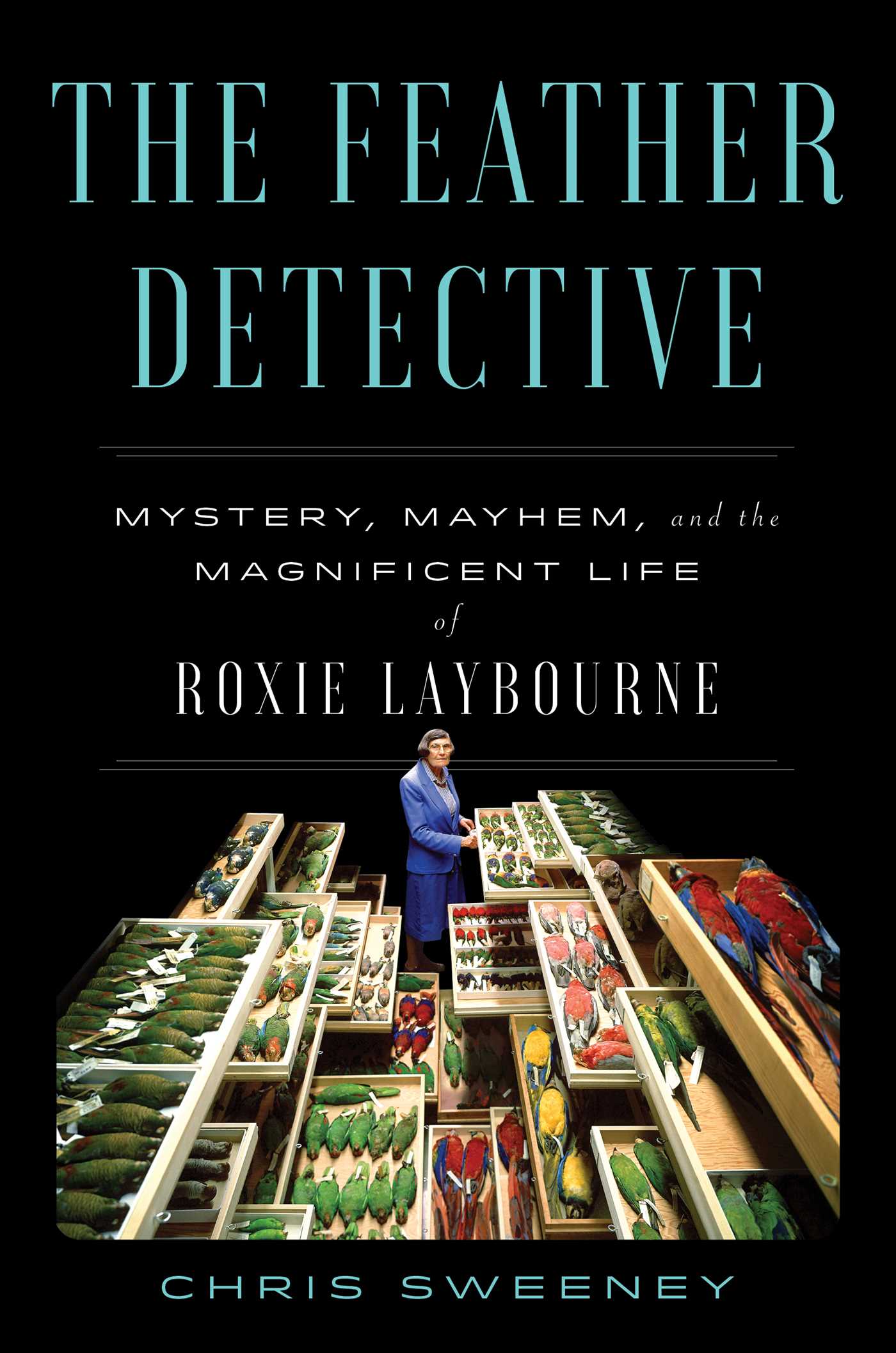 Book cover for The Feather Detective depicting a older woman in a blue suit surrounded by drawers full of bird specimens