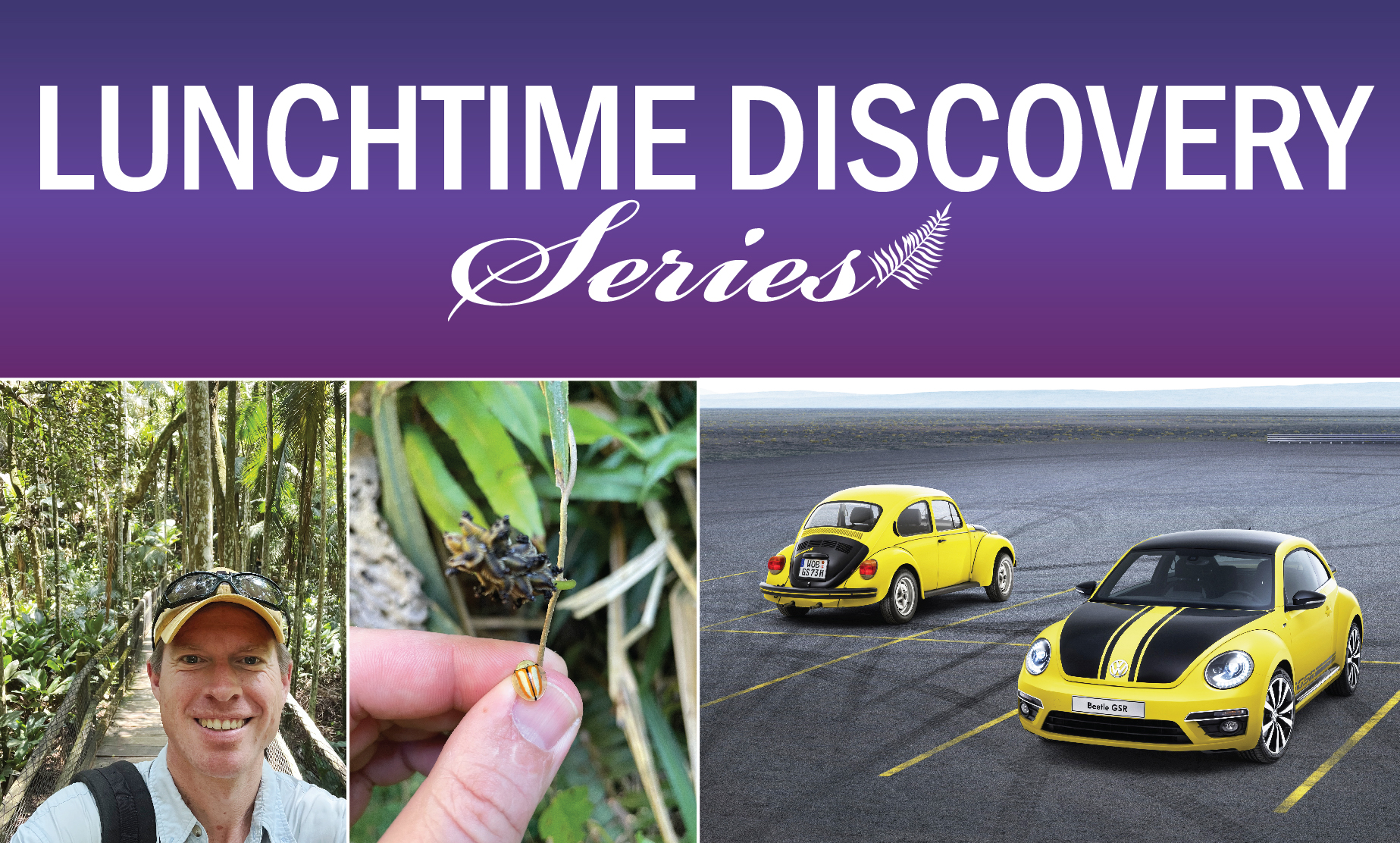 graphic with text "Lunchtime Discovery Series" title on top with three photos below of Scott Fister in a jungle environment, a photo of a bright orange-yelow-striped bug, and a photo of two black-and-yellow cars parked next to one another