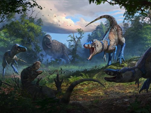 Nanotyrannus Confirmed: Dueling Dinosaurs Fossil Rewrites the Story of T. rex