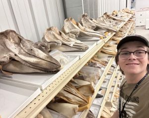 PhD student Tanner Murray poses with animal skulls