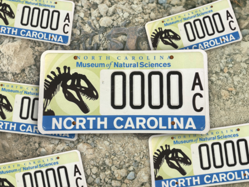 Dinosaur Plates Now Available