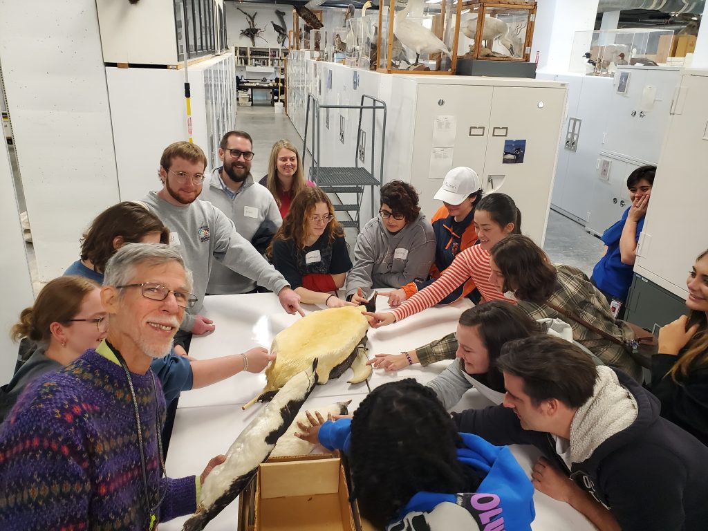 A group of adults gathers around a stuffed bird in a research collection