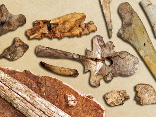 Where Ghost Bones Sleep