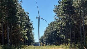 A photo of a small grassy clearing with a wind turbine surrounded by forest