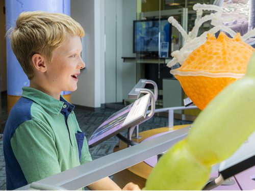 N.C. Science Museums Grant Program Awards $2.4 Million to 58 Institutions Across the State