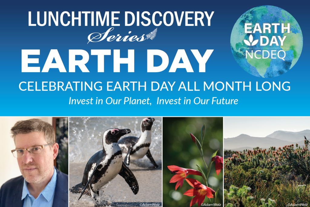 “Lunchtime Discovery Series” banner with “Earth Day: Celebrating Earth Day All Month Long” and the tagline “Invest in Our Planet, Invest in Our Future,” above four images showing a speaker headshot, penguins on a beach, a red wildflower, and a mountainous landscape.