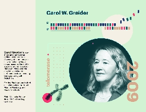 Carol W Greider