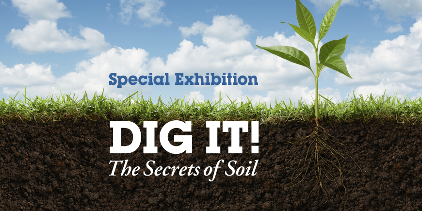 Dig It! The Secrets of the Soil