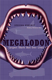 MEGALODON: LARGEST SHARK THAT EVER LIVED