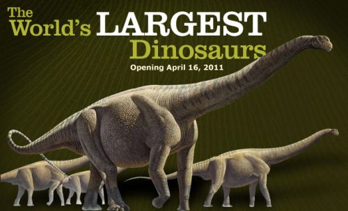 THE WORLD'S LARGEST DINOSAURS