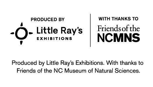 staying alive sponsor logo lock-up