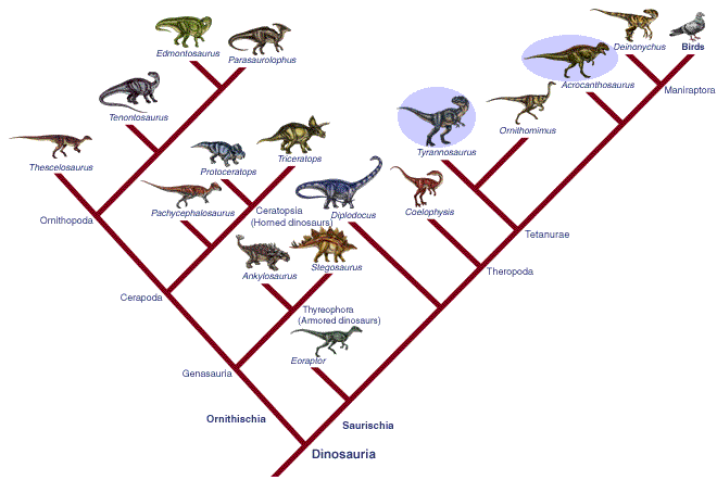 Dinosaur family tree