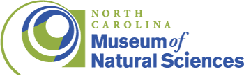 blue and green logo for the North Carolina Museum of Natural Sciences