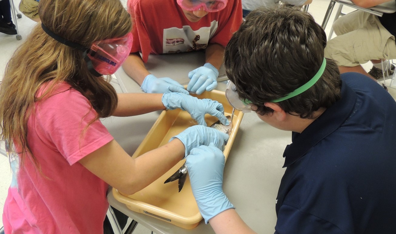 Students learning fish anatomy (Midway Middle School)