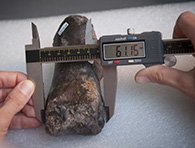 FossilPhiles