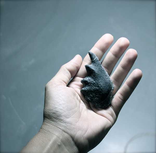 Fossilized tooth of a giant Cretaceous lungfish, excavated in 2013.