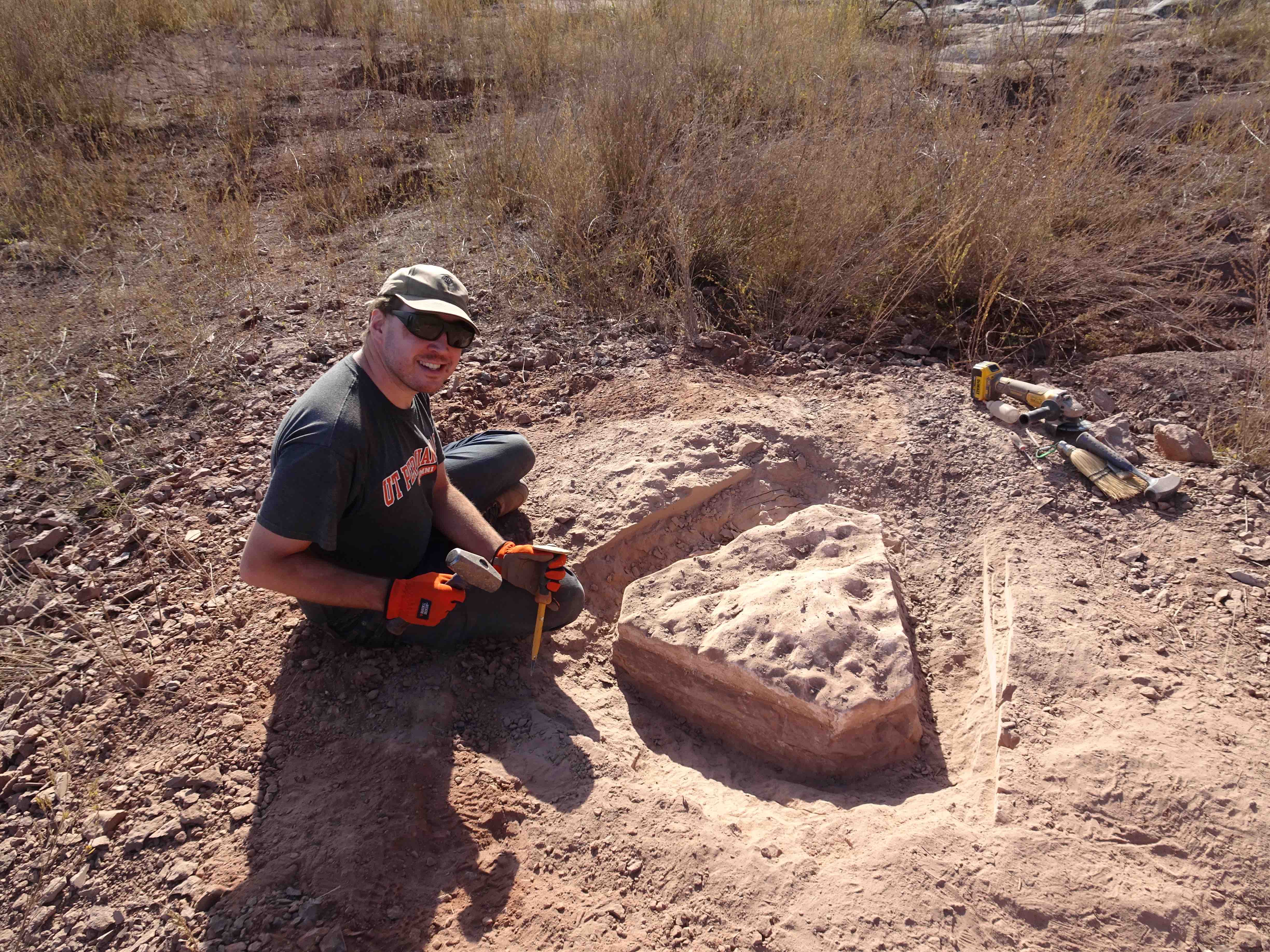 Dr. Kammerer excavating the skull of a dicynodont therapsid from Triassic deposits in North Carolina.