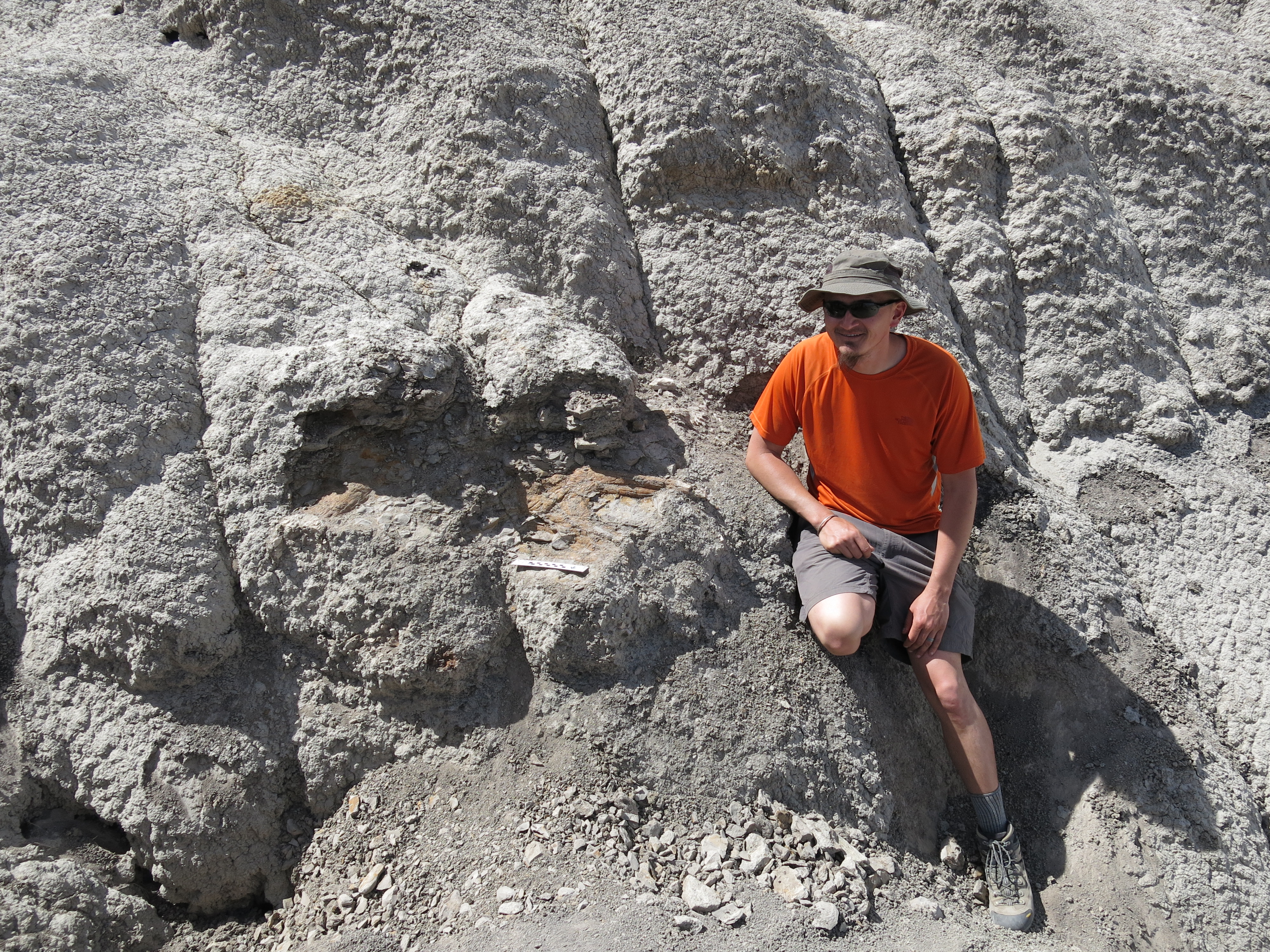 Sitting next to the freshly uncovered skull of Pentaceratops that I discovered in the Cretaceous of New Mexico.