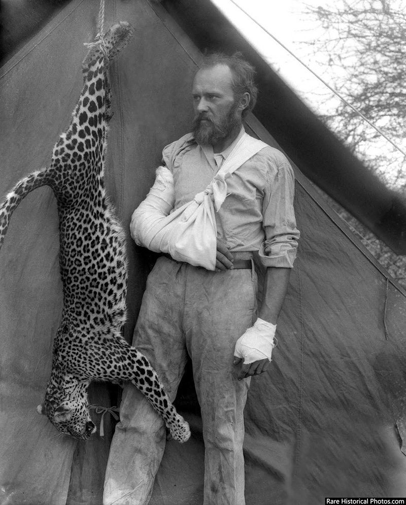 Taxidermist Carl E. Akeley posing with the leopard he strangled with his bare hands in 1896.
