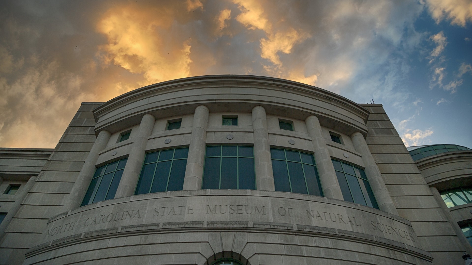 Support the North Carolina Museum of Natural Sciences